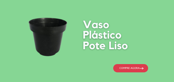Vaso liso